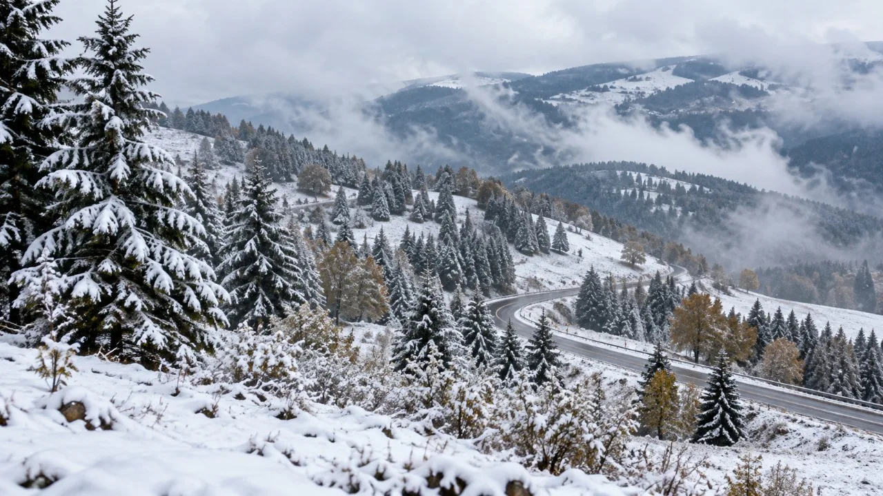 Bolu, Düzce ve Kastamonu'da kar yağışı etkiliyor